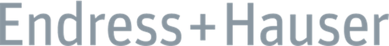 Endress+Hauser